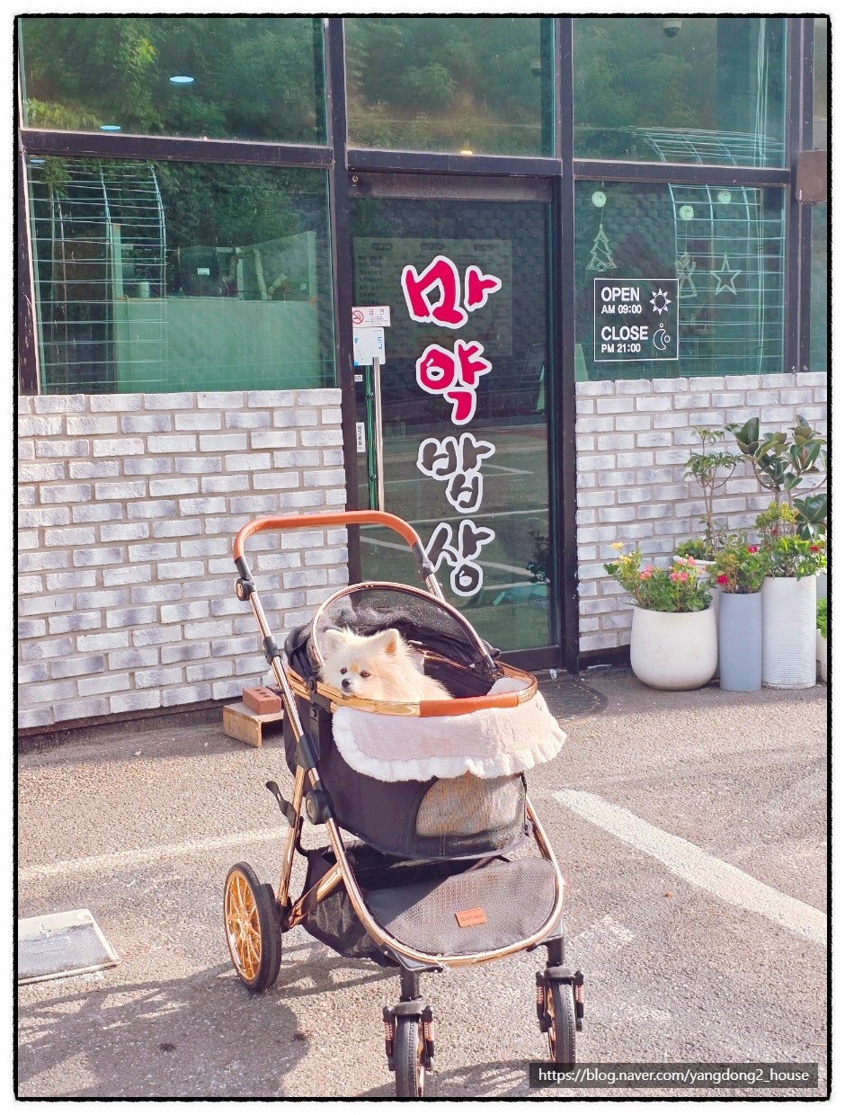 마약밥상 사진 1