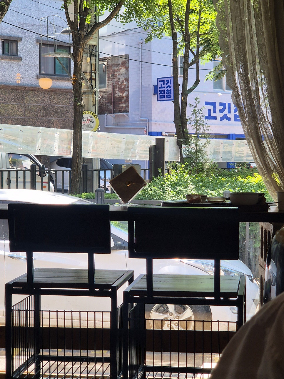 카츠오도 사진 5
