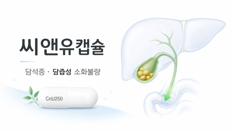 씨앤유캡슐 효능 복용법 주의사항, 담석증과 담즙성 소화불량 약 정리