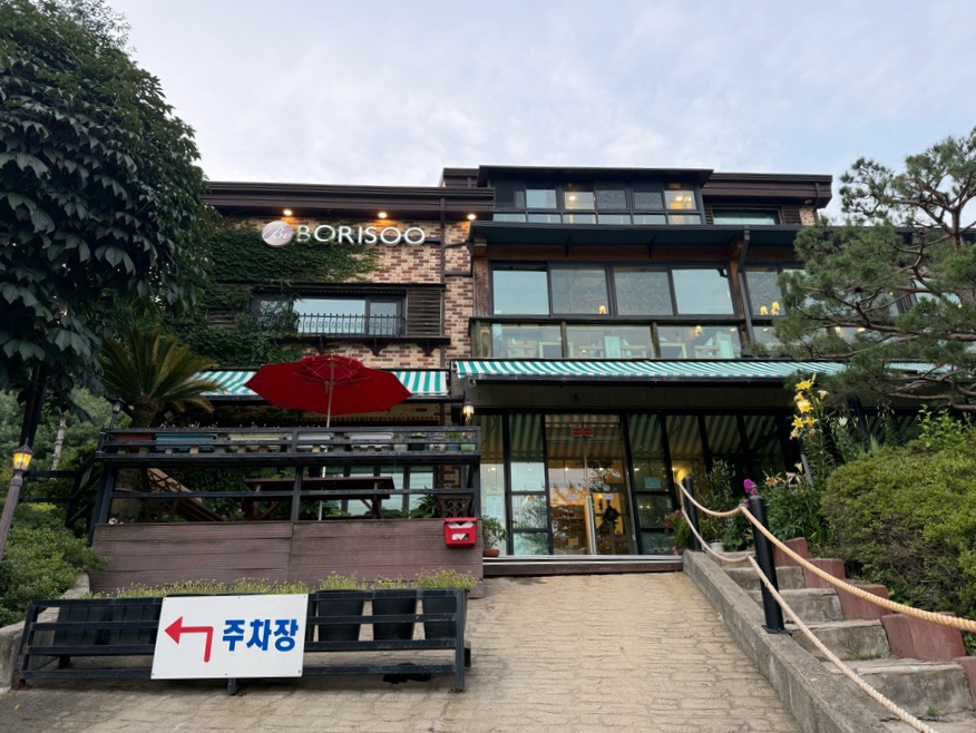 보리수 사진 1