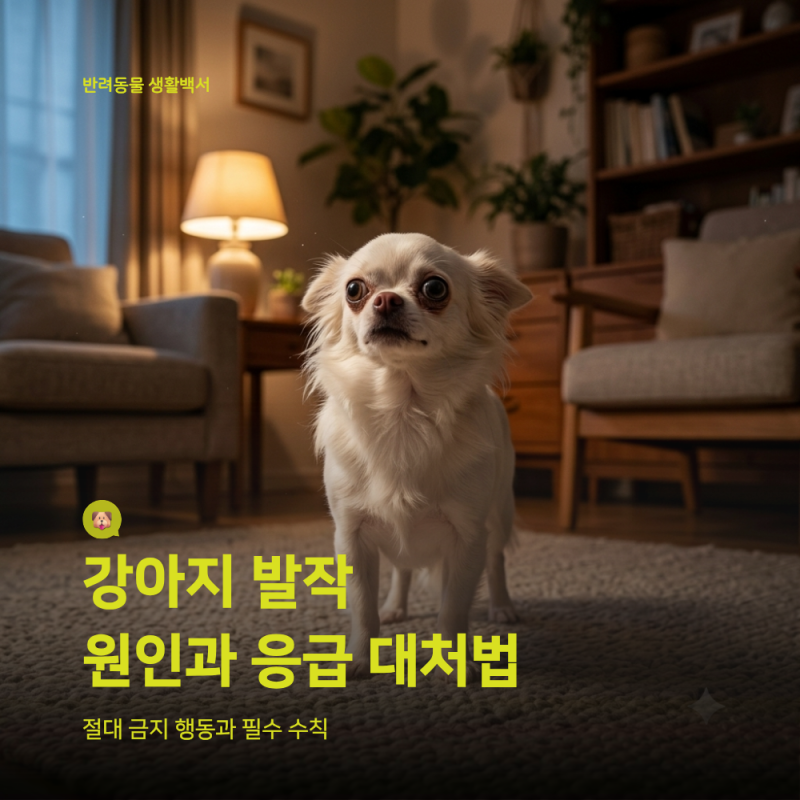 강아지 갑작스러운 발작·경련 대처 가이드: 의학적 원인과 보호자가 절대 하지 말아야 할 행....