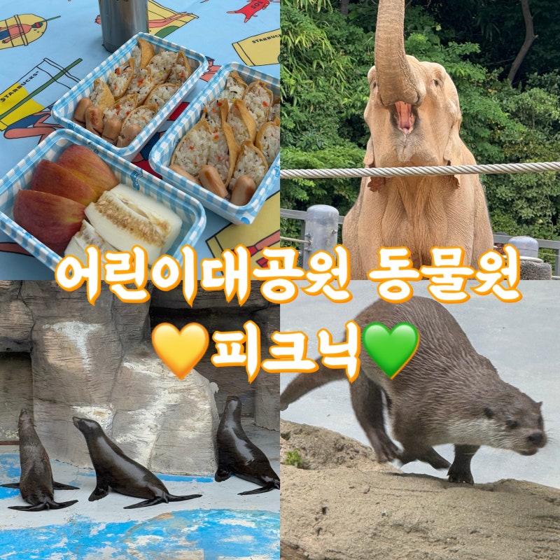 서울 어린이대공원 동물원 피크닉 : 입장료 무료로 즐기는 하루 / 방문 팁!