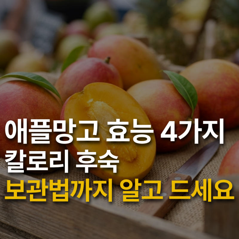 애플망고 효능 4가지, 칼로리 후숙 보관법까지 알고 드세요