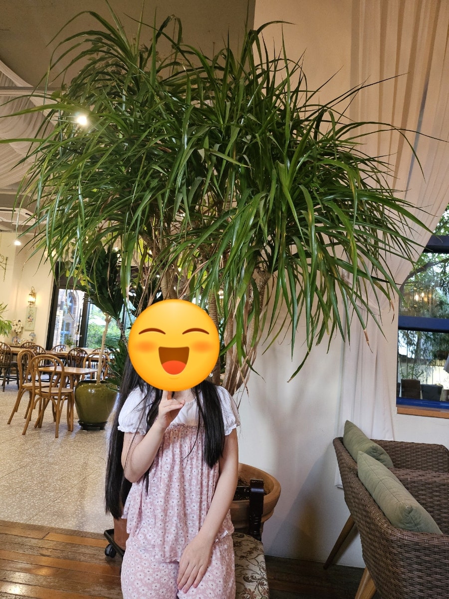 카페월든 사진 4