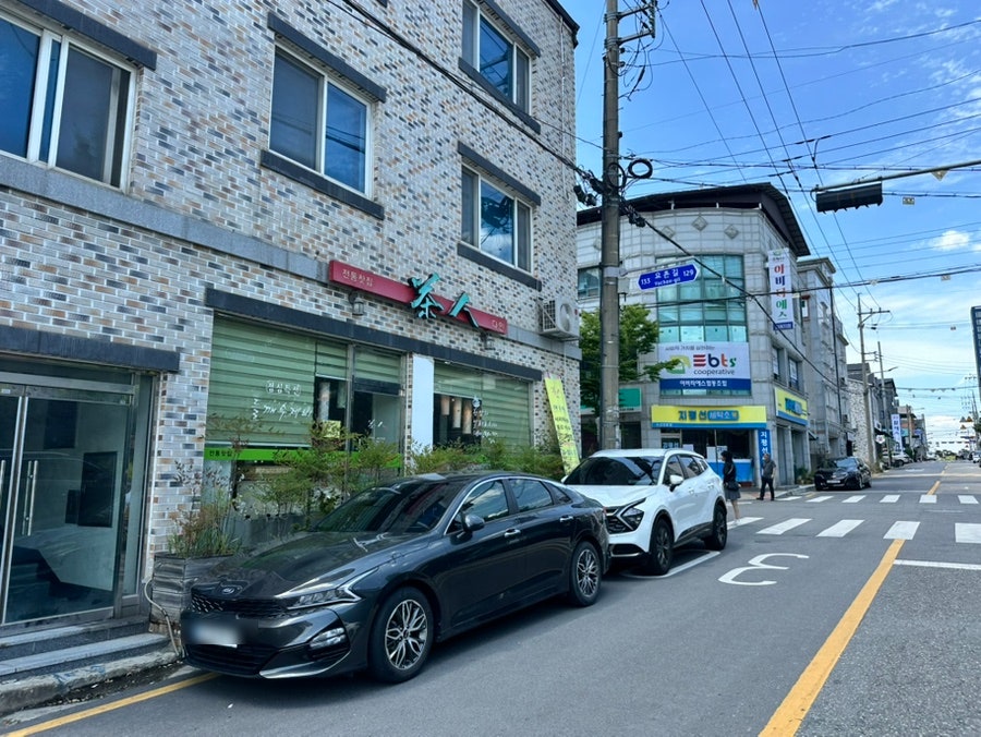다인 사진 5