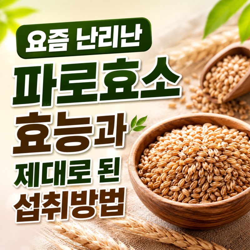 요즘 난리난 파로효소 효능과제대로 된 섭취방법