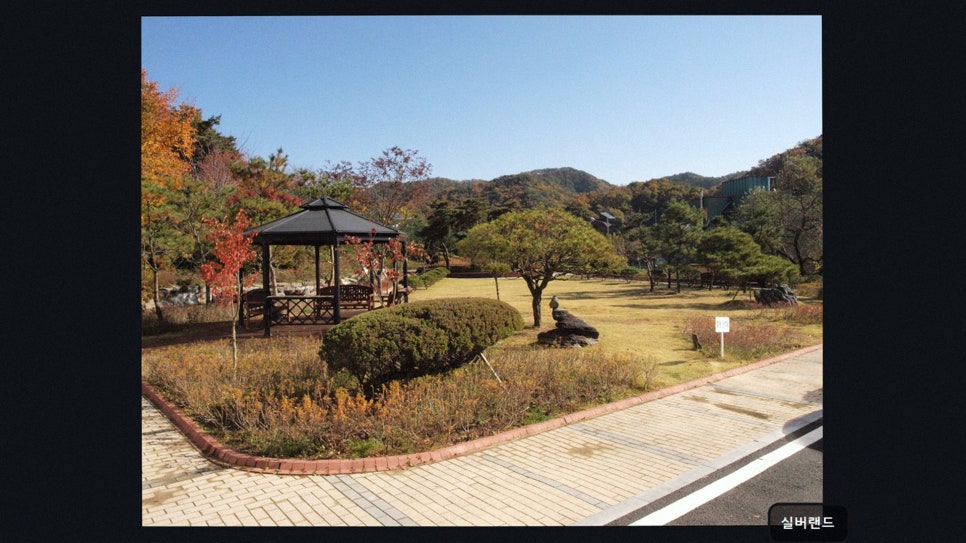 실버랜드 사진 3