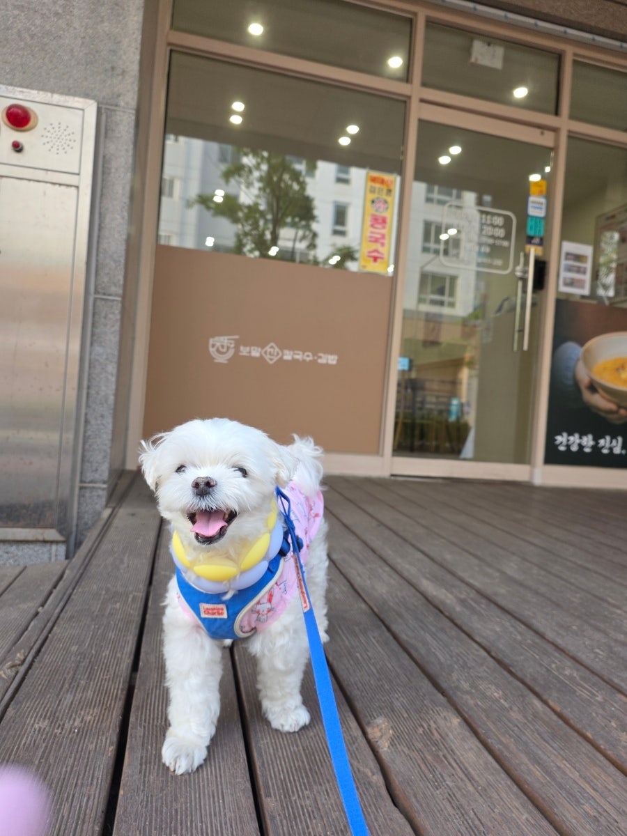 보말진칼국수김밥 은평뉴타운점 사진 4
