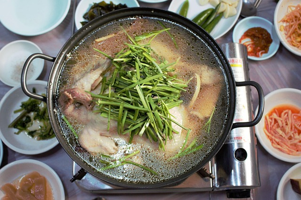 초인가든 사진 3