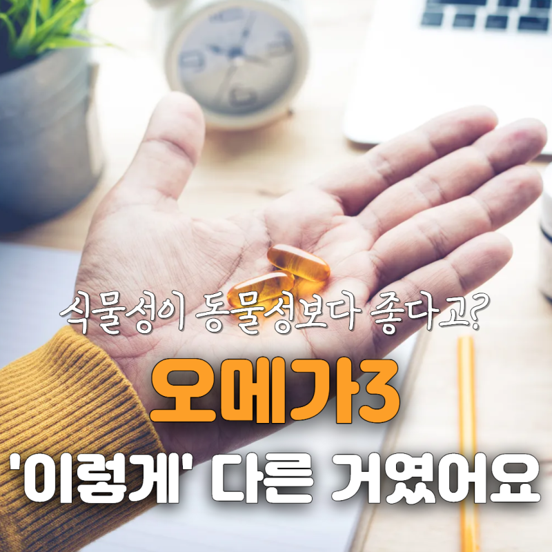 오메가3 사려다 헷갈렸다면, 식물성과 동물성 차이부터 보세요