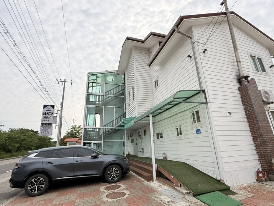 바다바라기 사진 1