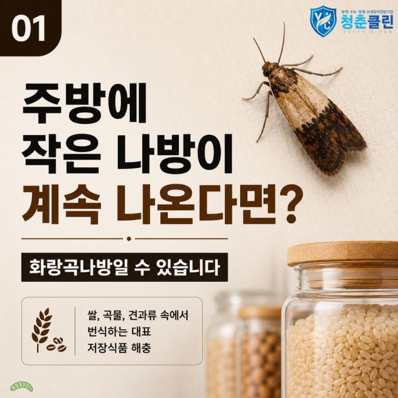 화랑곡나방 퇴치법! 쌀나방은 방역업체로 빠르게, 트랩고생 ㄴㄴ