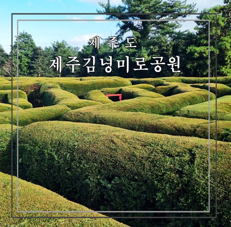 제주도여행:: 제주도 아이와 이색체험 제주김녕미로공원