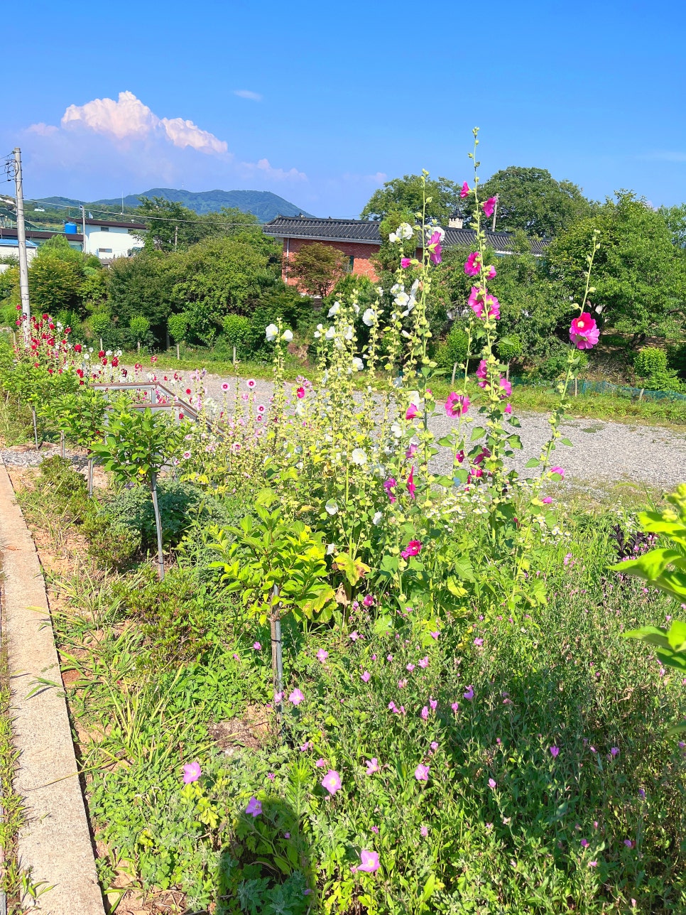 석당산 사진 5