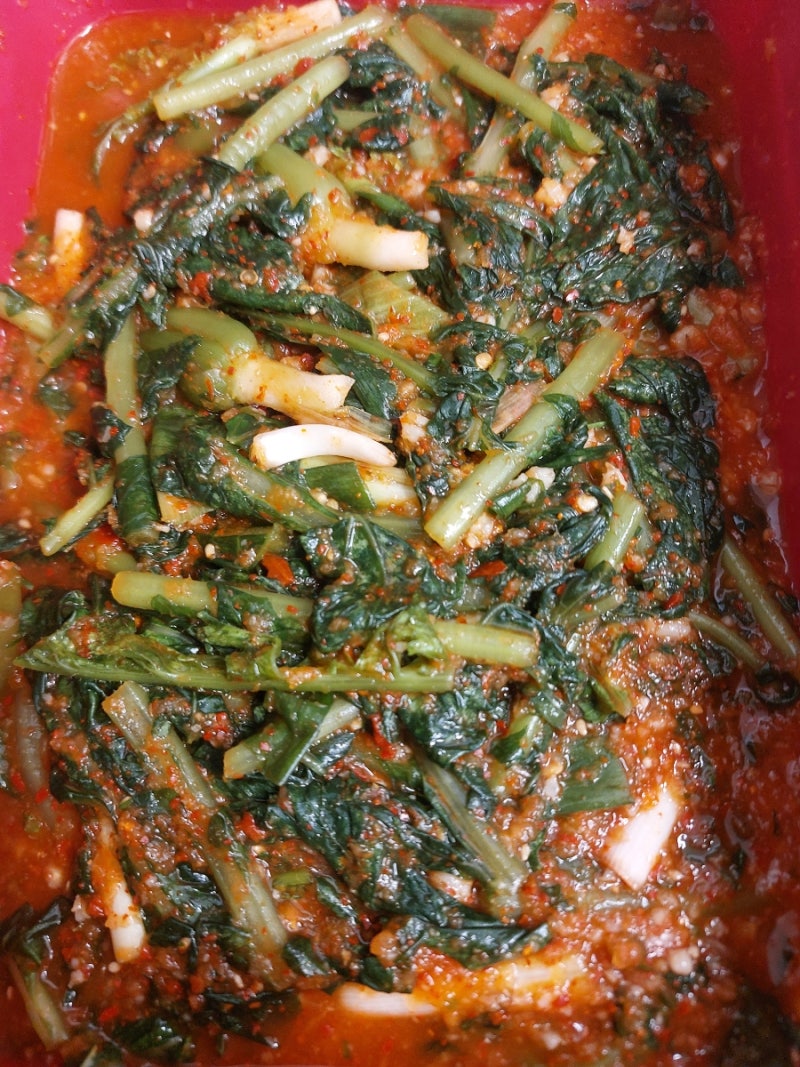 '26 여름철 전라도식 자박자박 열무김치 만드는 법, 엄마 손맛! 열무물김치 만들기 효능 초간....