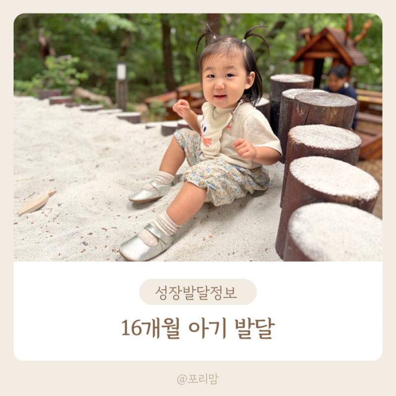 16개월 아기 발달 키 몸무게 언어 식사 모방행동 자기주장 어린이집