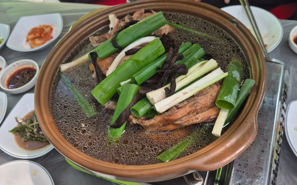 금자생오리 사진 6