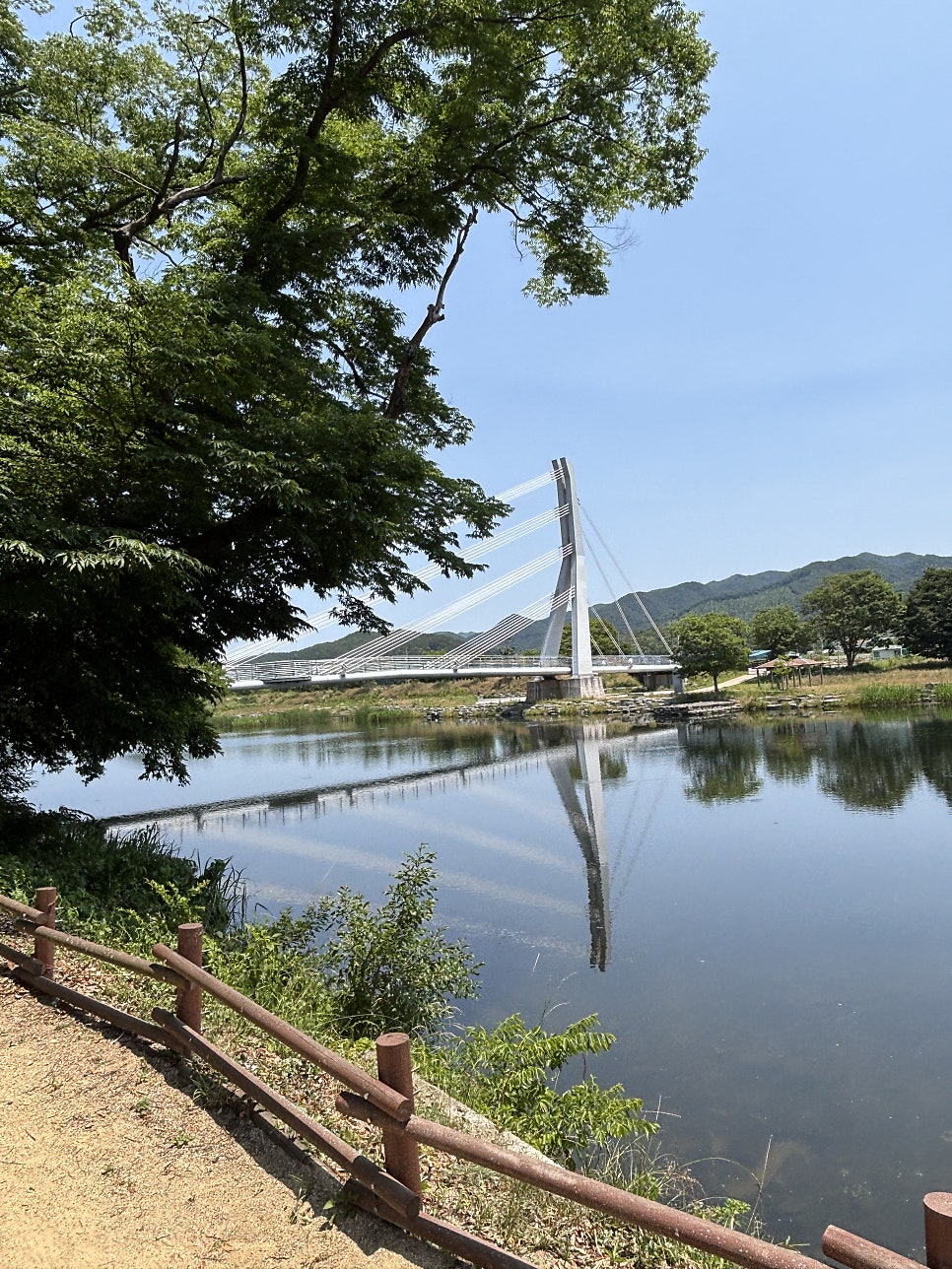 동복연둔리숲정이 사진 6