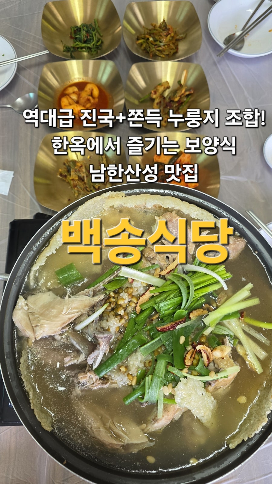 백송 사진 1
