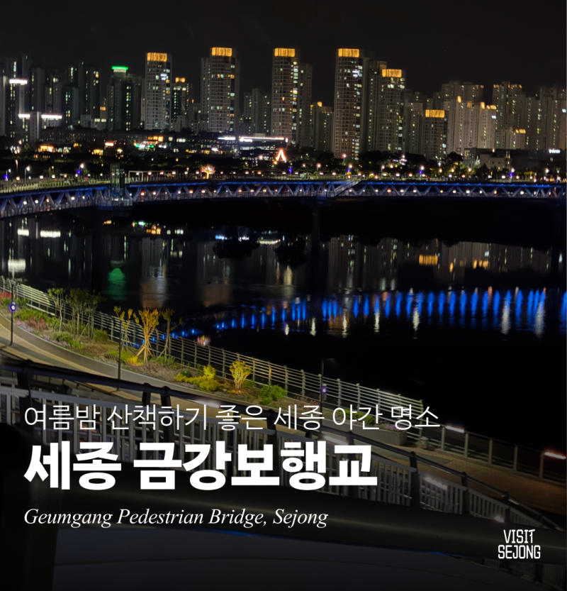 여름밤 산책하기 좋은 세종 야간 명소 | 금강보행교 이응다리