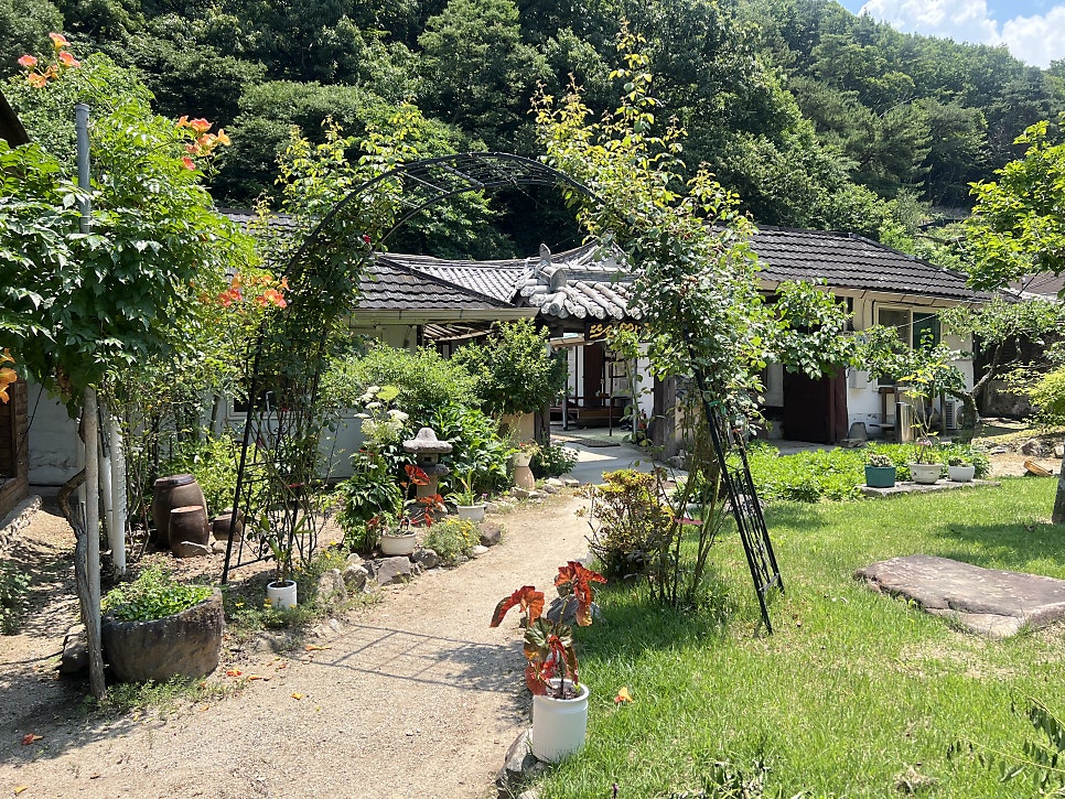 내고향묵집 사진 5