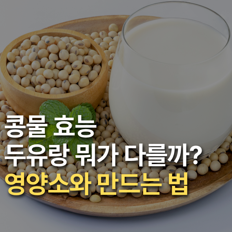 콩물 효능 두유랑 뭐가 다를까? 영양소와 만드는 법 총정리