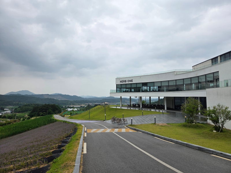 광주 근교 가볼만한 카페 ㅣ 정읍 허브원 카페