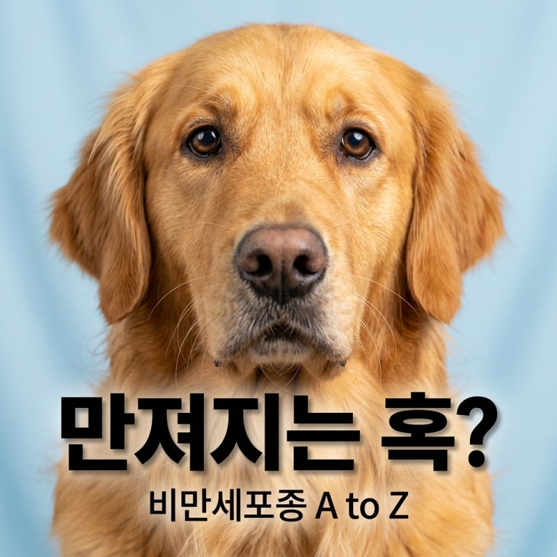 강아지 비만세포종, 혹 발견 시 대처법과 치료 비용 총정리