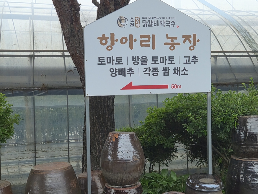 항아리닭갈비막국수 춘천본점 사진 3