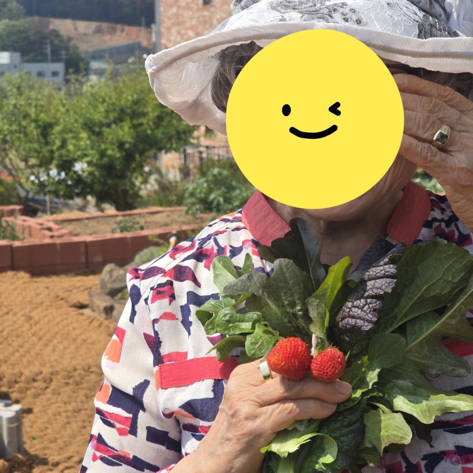 건강밥상 사진 3