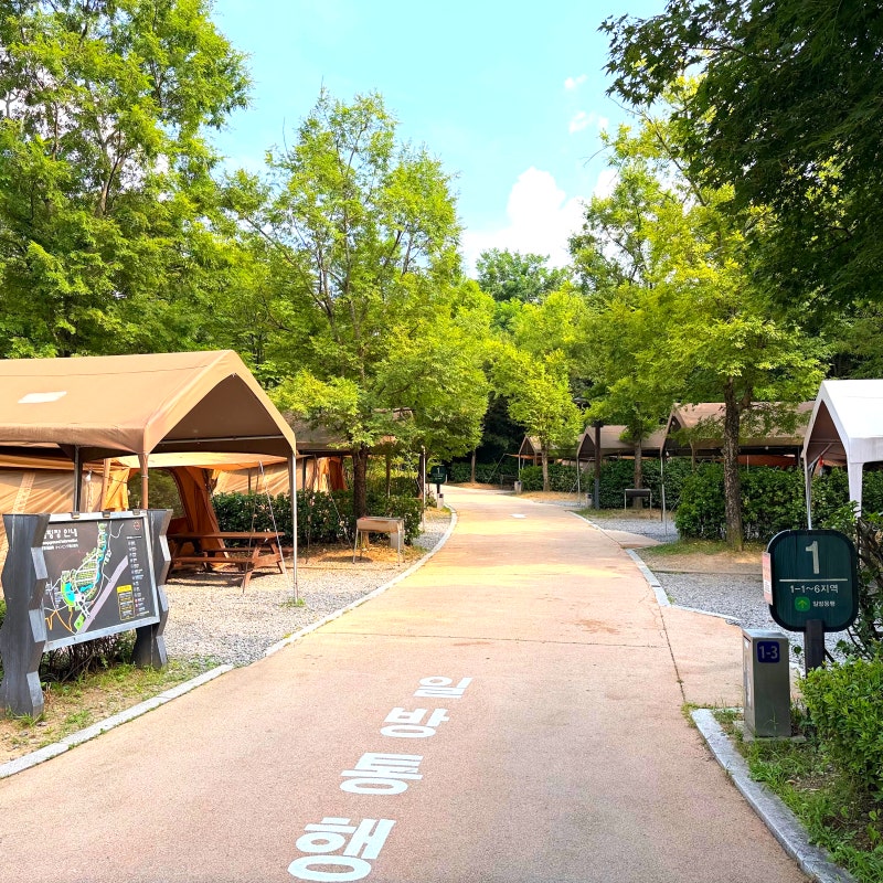 서울 당일 바베큐 가능한 중랑 가족 캠핑장 명당 예약 꿀팁