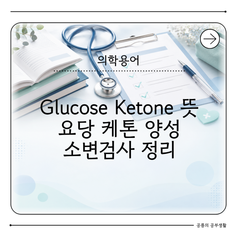 Glucose Ketone 뜻 무엇일까? 요당 케톤 양성 소변검사 정리
