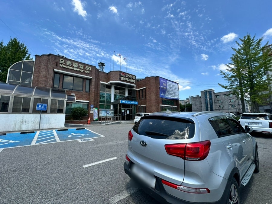 다인 사진 2