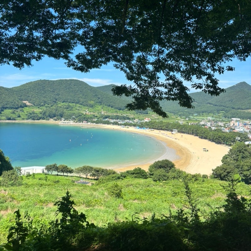 [국내 여행_남해] 아기랑 남해여행 가볼 만한 곳_상주은모래비치, 유채꽃 명소, 보물섬 전동 ....