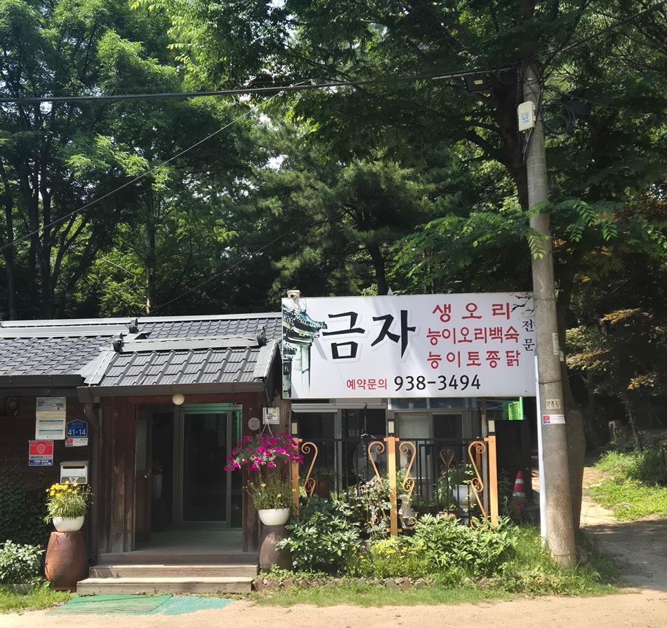 금자생오리 사진 1