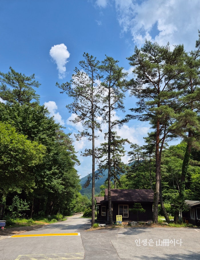 친구와 함께 - 경기도 양평 국립 산음자연휴양림 '반달곰' 숲속의 집