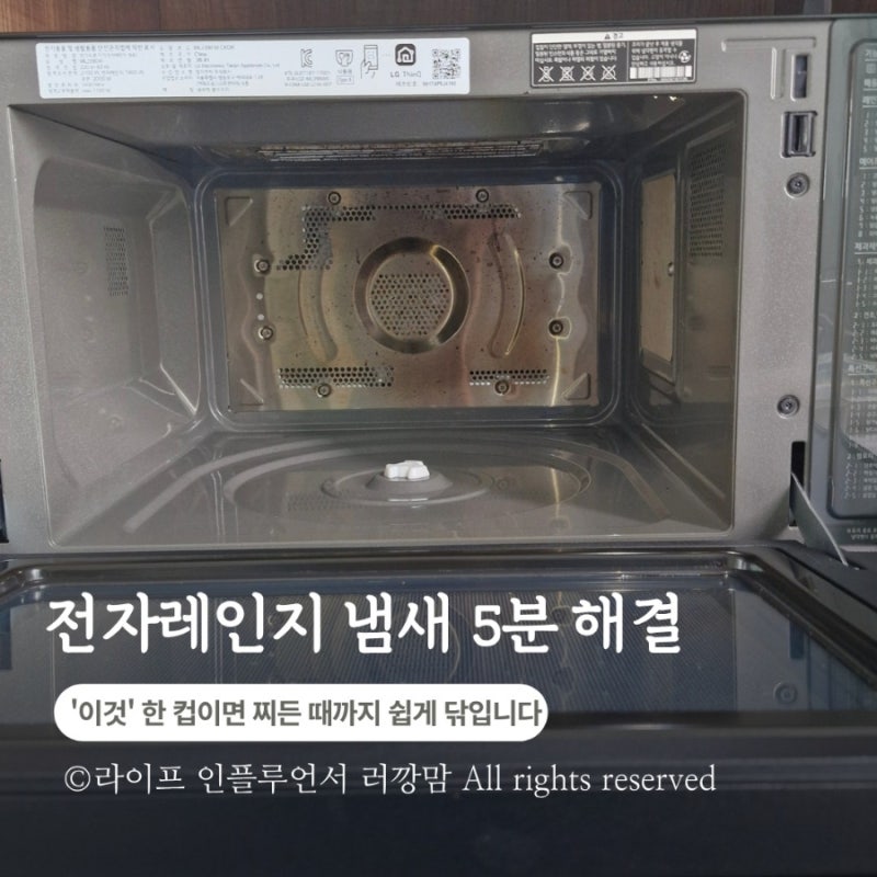 전자레인지 냄새 안 빠진다면? 식초 소독 5분이면 끝났어요