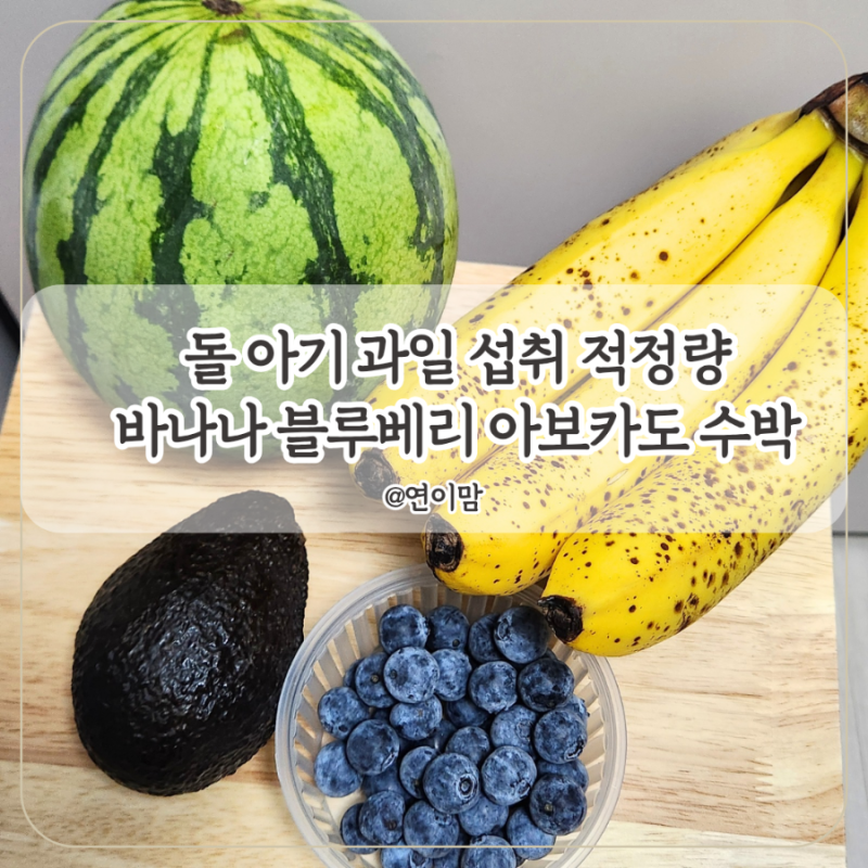 아기 과일 섭취 적정량 돌 아기 14개월 아기 바나나 블루베리 아보카도 수박 하루에 얼마나 ....