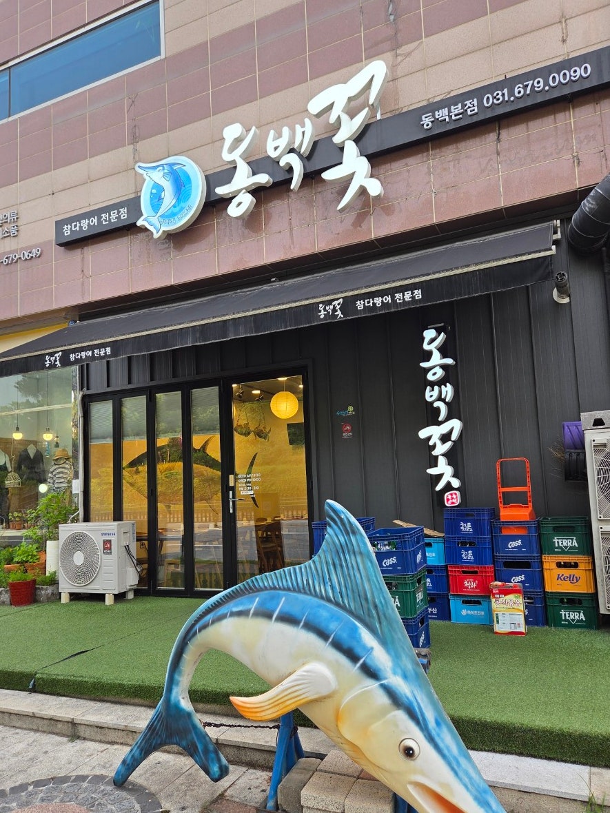 동백꽃 사진 2