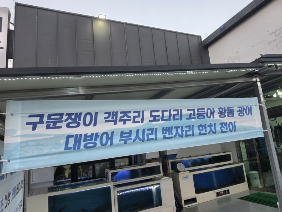 푸른어장 사진 3