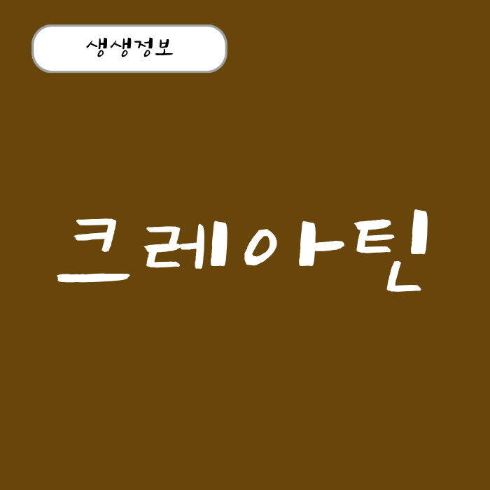 크레아틴 효능과 부작용, 복용법 하루 권장량 총정리!