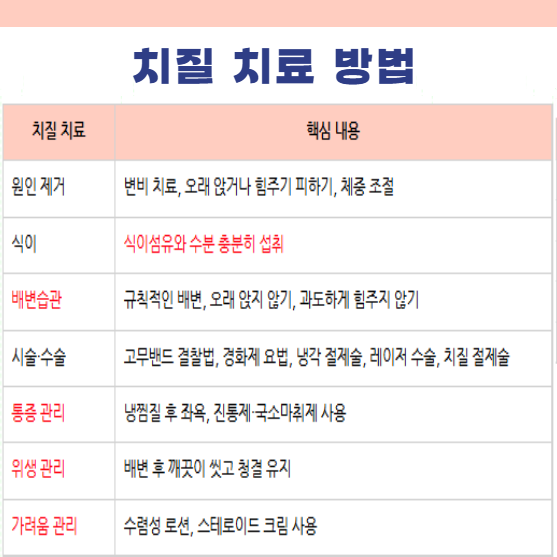 치질 치료 방법 수술, 수술없이치질치료 식이섬유 수분 배변습관 통증 위생 소양증관리