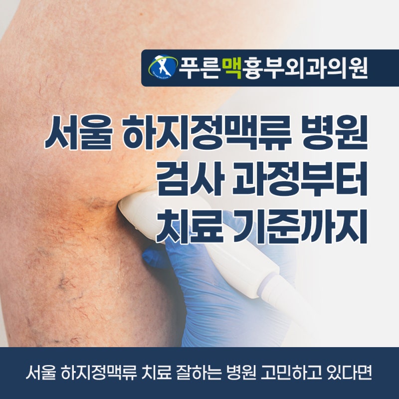 서울 하지정맥류 치료 잘하는 병원 고를 때, 검사 과정부터 치료 기준까지 한눈에 정리