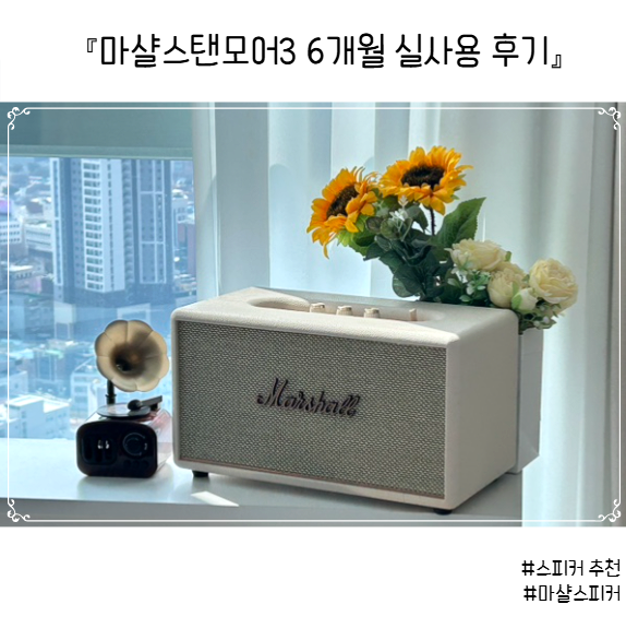[내돈내산] 마샬스탠모어3 6개월 실사용후기 (+액톤3 탈락)