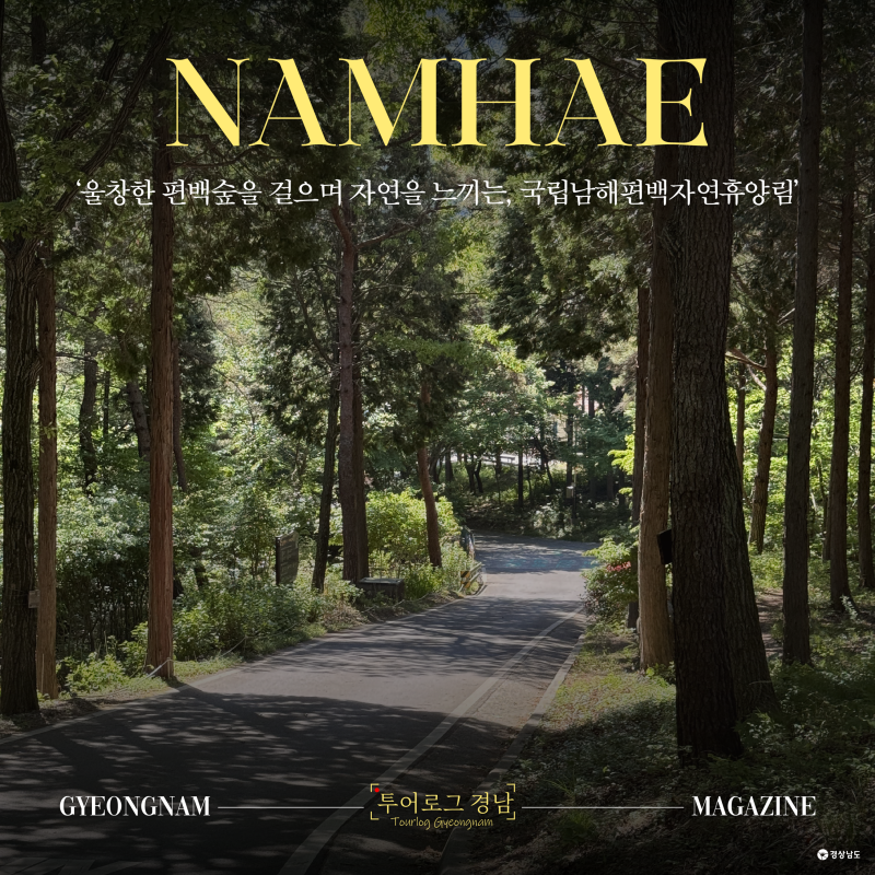 [경남/남해]지금 방문하기 좋은 힐링 명소인 국립남해편백자연휴양림