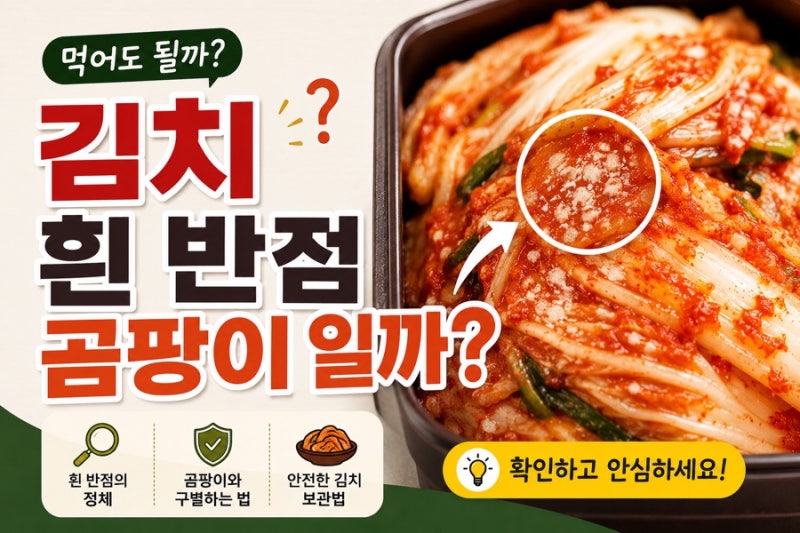 오래 보관한 김치에 흰색 반점 곰팡이 씻어서 먹어도 될까?