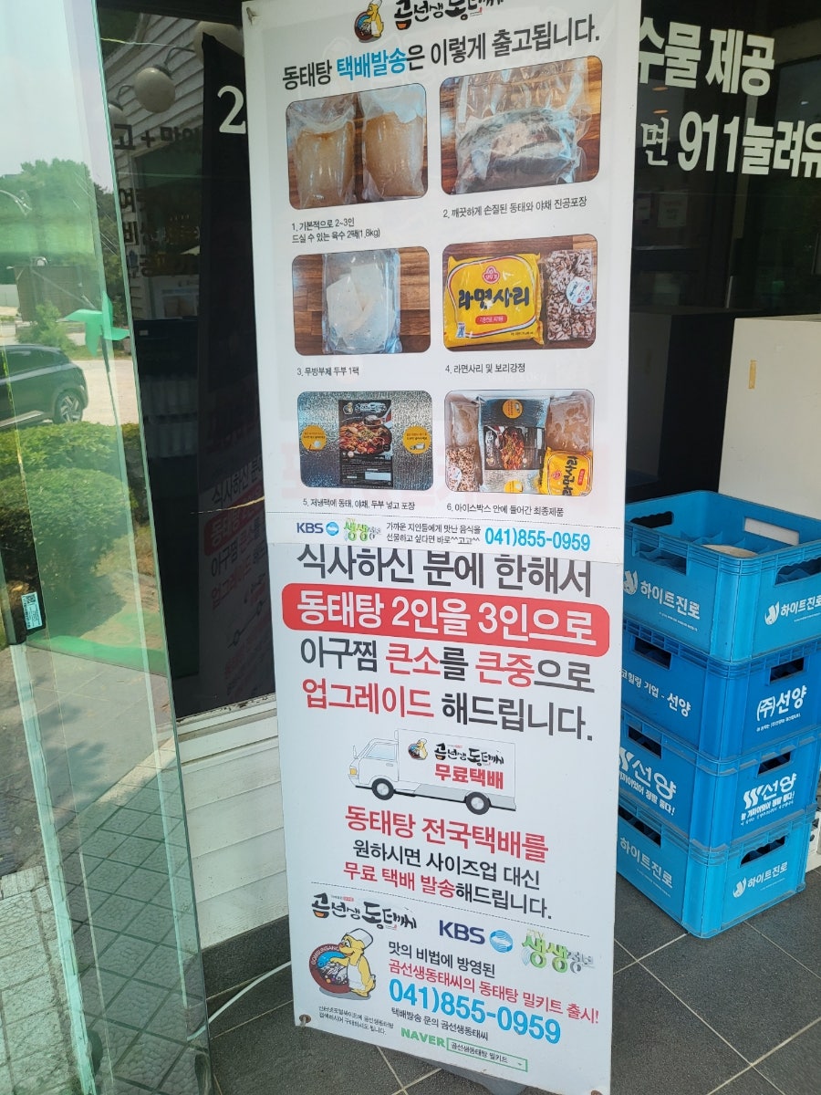 곰선생 동태씨 사진 5