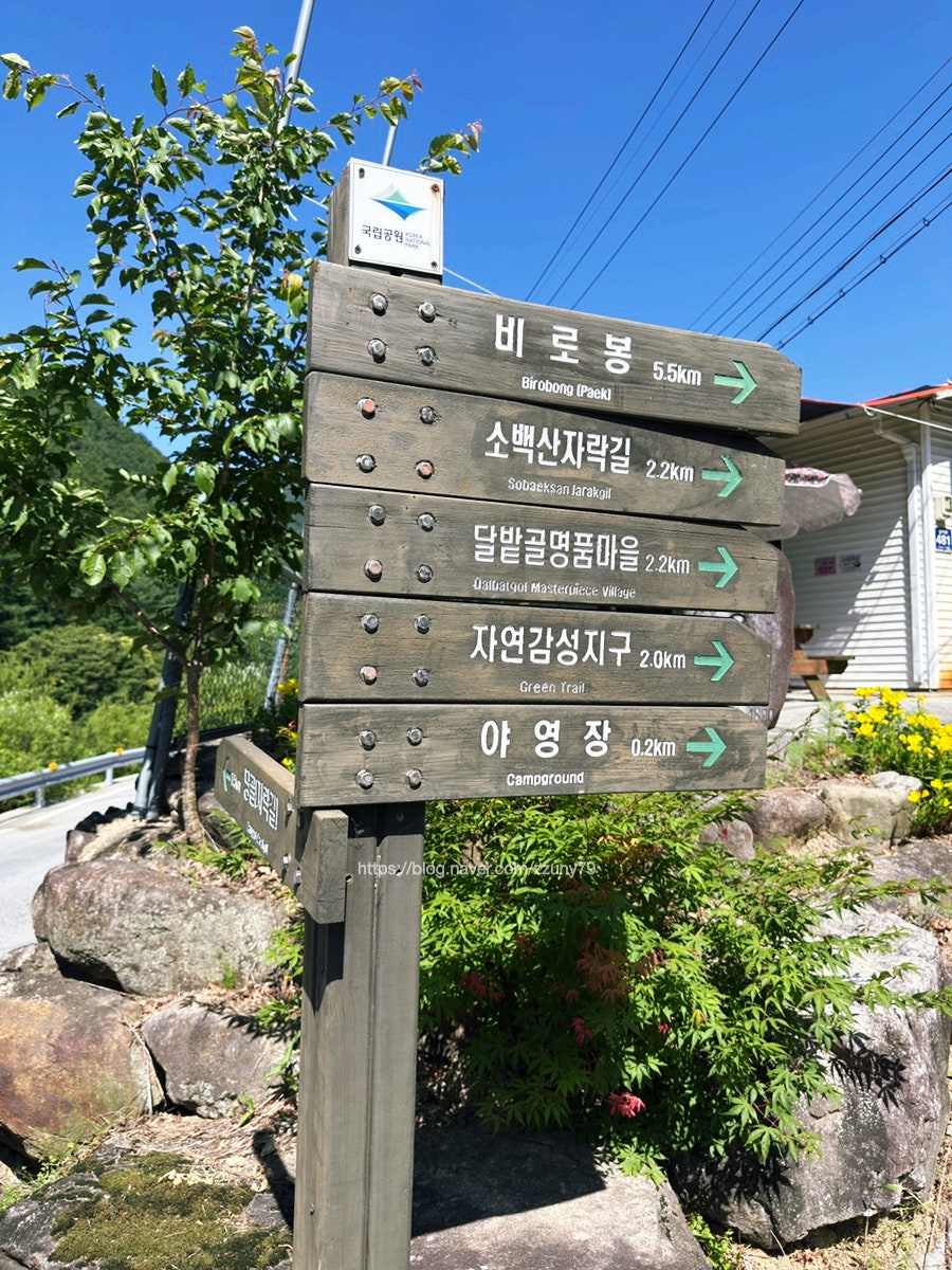 달밭골 사진 3