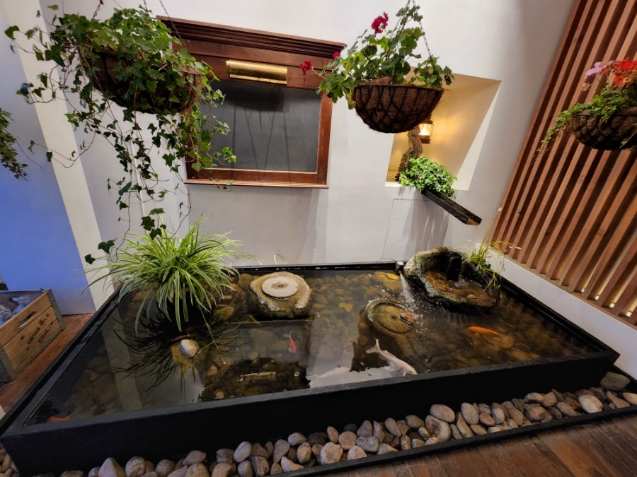 횡성더덕밥김가 사진 5