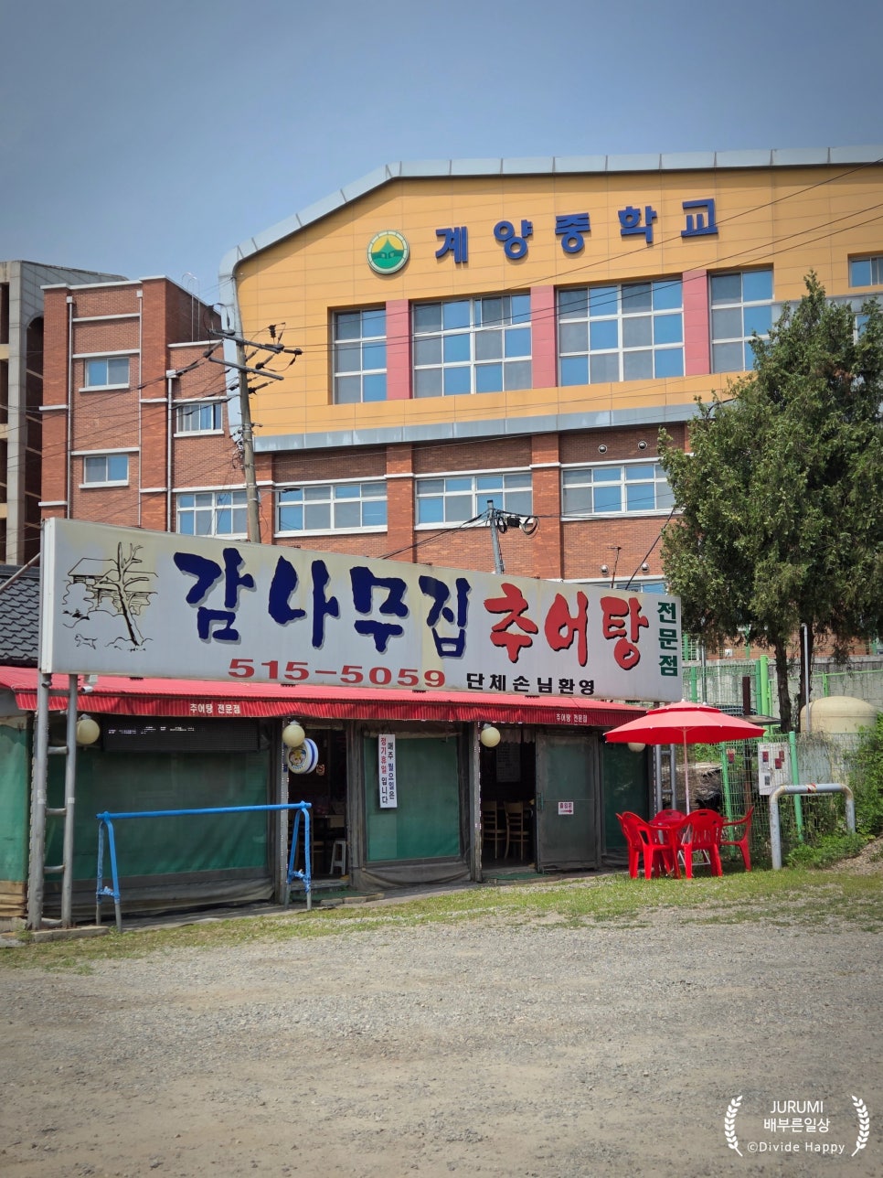 감나무집추어탕 사진 1